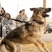 49th Security Forces Squadron K-9 training