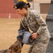 49th Security Forces Squadron K-9 training