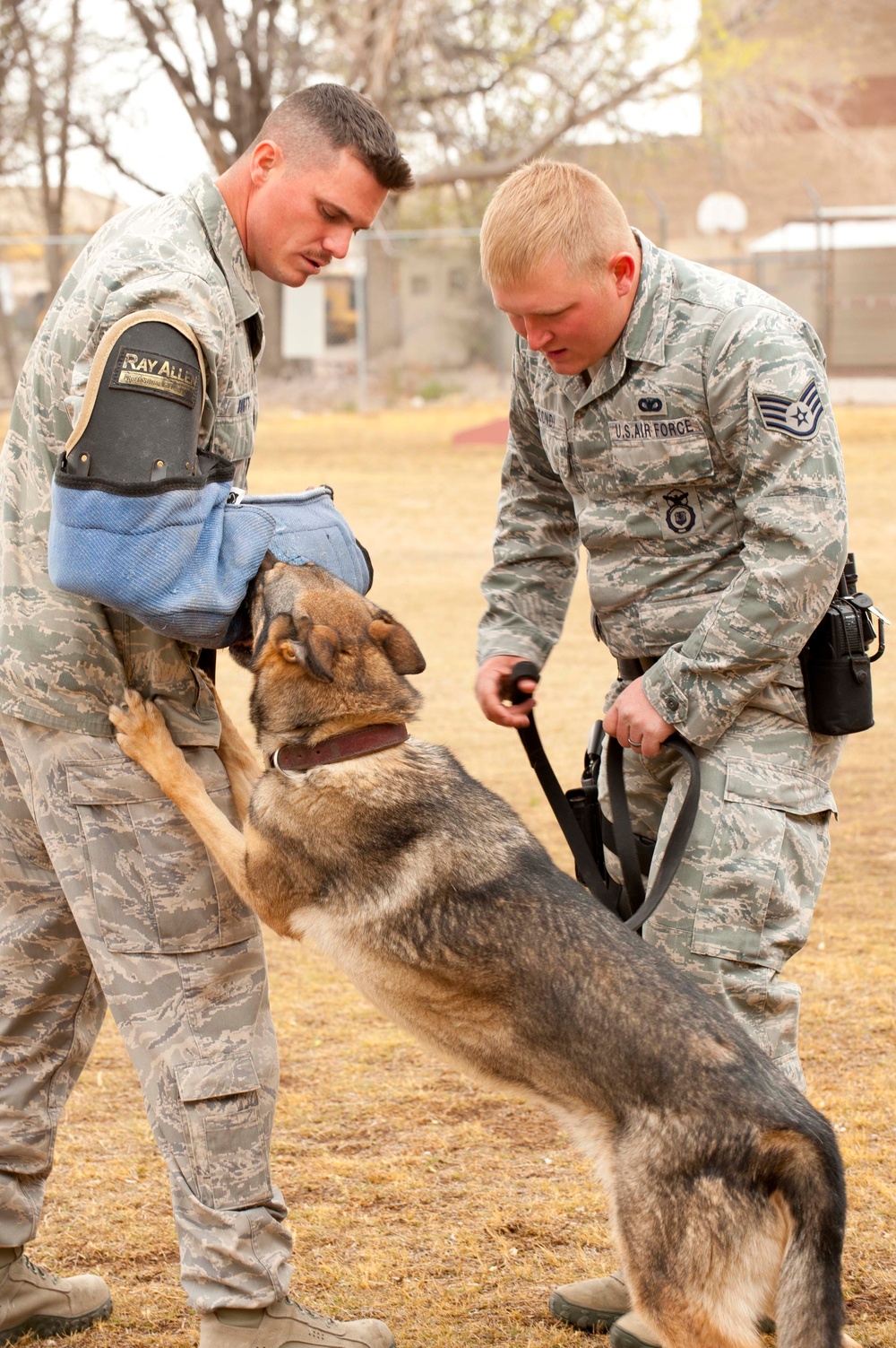 49th Security Forces Squadron K-9 training