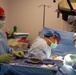 Joint surgical team provides vital mission capability