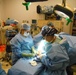 Joint surgical team provides vital mission capability