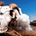 Big Island Military Police training A weathered animal skull with curved horns, likely from a ram or goat, is positioned prominently in the foreground on rocky desert terrain. In the background, a military-style vehicle (appears to be a HMMWV/Humvee) is visible amid a large cloud of dust or smoke in an arid landscape. The composition creates a stark contrast between the bleached skull and the active military vehicle under a bright blue sky.