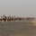 Bataan Memorial March held in Kuwait Bataan Memorial March held in Kuwait