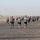 Bataan Memorial March held in Kuwait Bataan Memorial March held in Kuwait