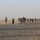 Bataan Memorial March held in Kuwait Bataan Memorial March held in Kuwait