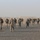 Bataan Memorial March held in Kuwait Bataan Memorial March held in Kuwait