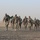 Bataan Memorial March held in Kuwait Bataan Memorial March held in Kuwait