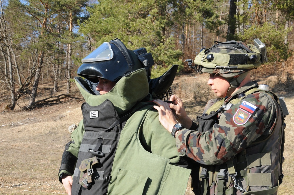 173rd Airborne Brigade Combat Team mission rehearsal exercise