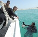Commander, Task Group 56.1, Qatari Emiri naval special forces interoperability exercise