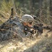 I Company, 3rd Squadron, 2nd Cavalry Regiment live fire exercise 'Iron Anvil'