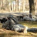 I Company, 3rd Squadron, 2nd Cavalry Regiment live fire exercise 'Iron Anvil'