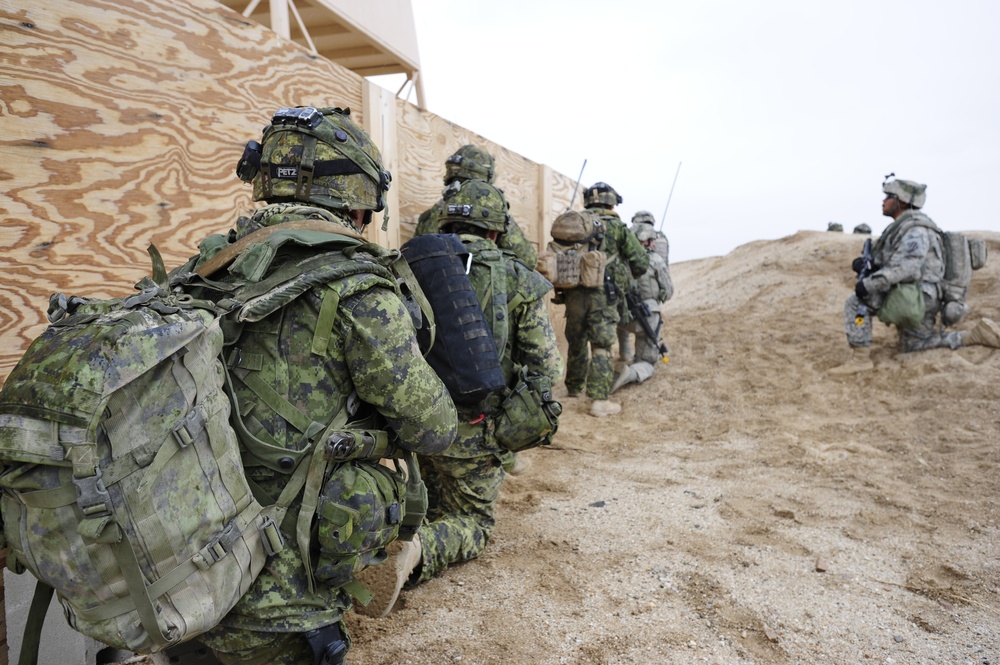 US and Canadian sappers train together