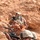 Oregon National Guard in Oman