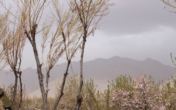 Cavalry Regiment, ANP work side by side to build trust among the local population