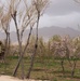 Cavalry Regiment, ANP work side by side to build trust among the local population