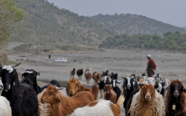 TF Blue Geronimo in Bak district