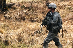 US Army soldier on alert [Image 1 of 6]