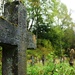 Polish cemetary