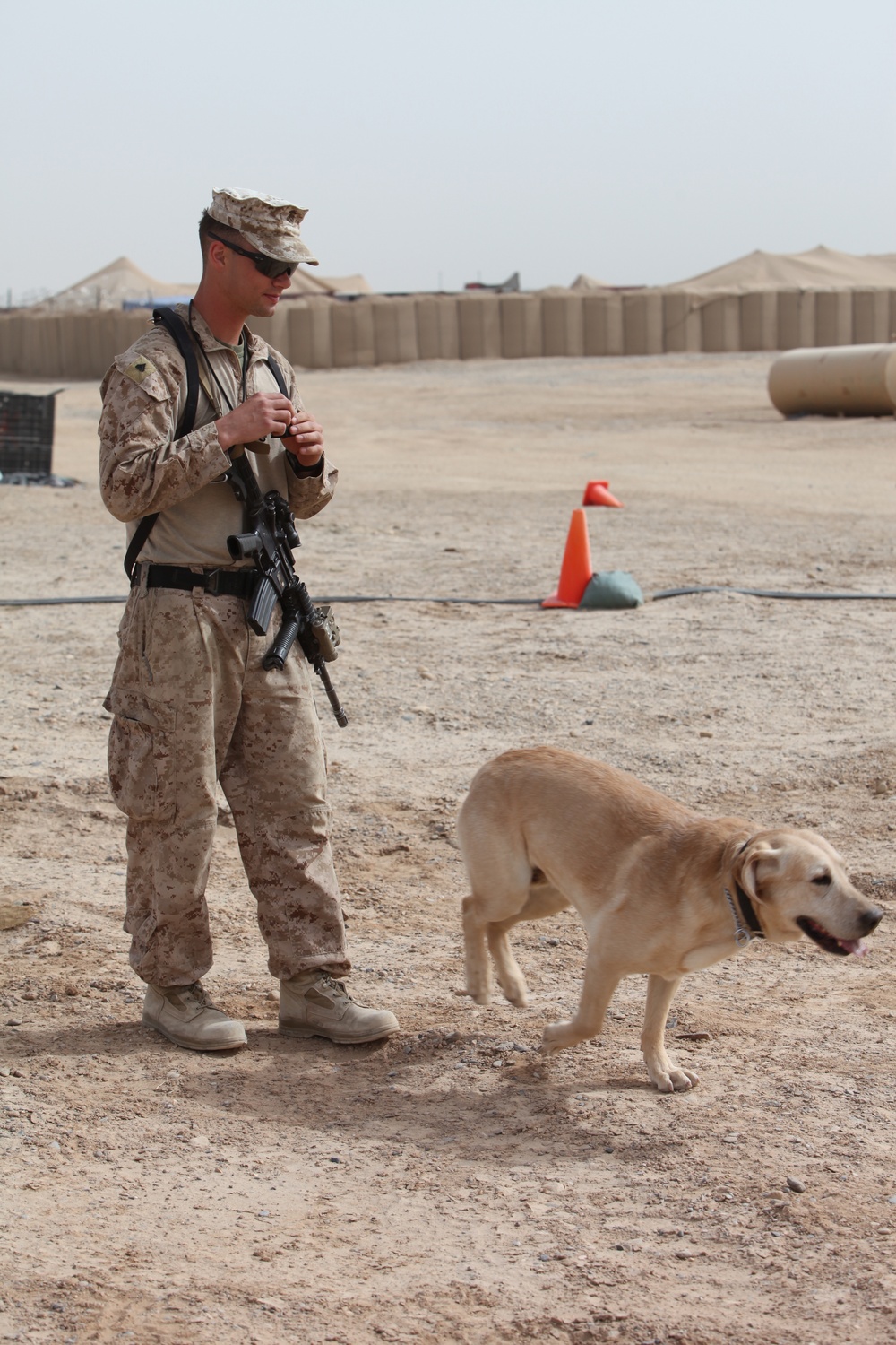 Dog handlers train canines, save Marine lives in Afghanistan