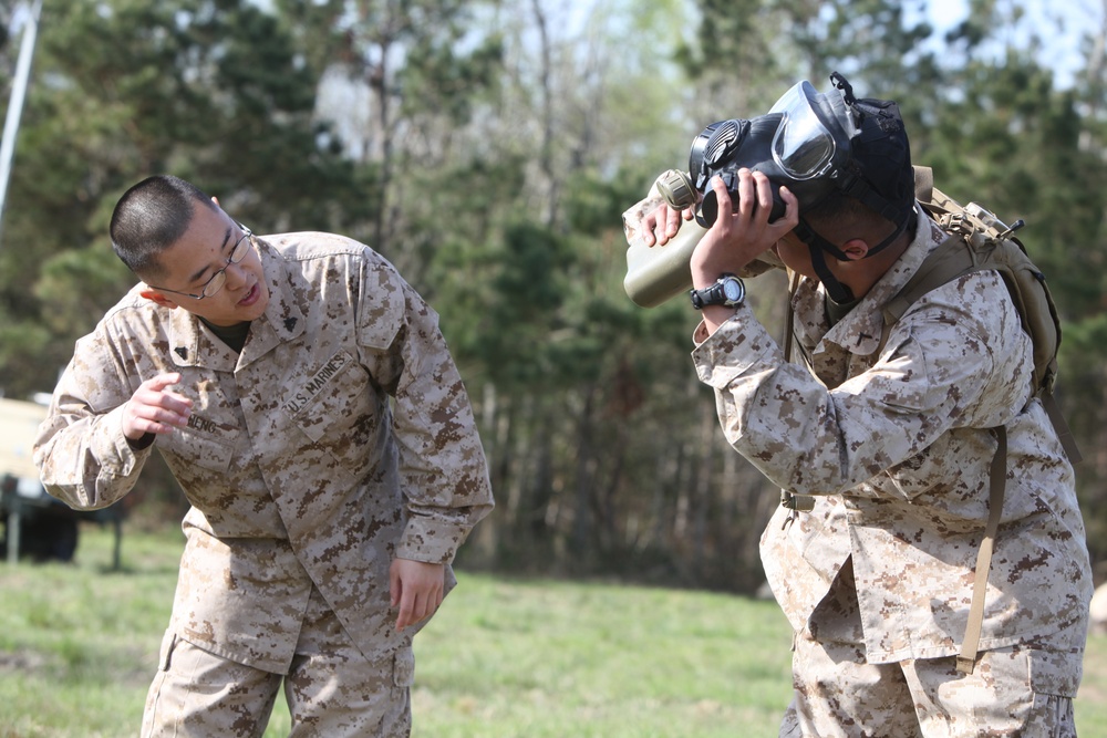 Landing Support Company Marines suit up