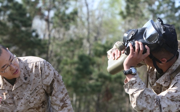 Landing Support Company Marines suit up