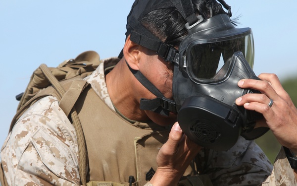 Landing Support Company Marines suit up