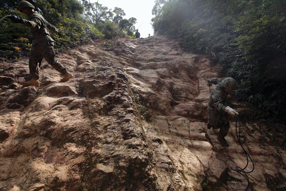 Marines descend through jungle warfare training