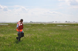 Army Corps awards contract for restoring Black Wall and rulers bar Marsh Islands in Jamaica Bay, New York