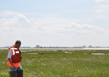 Army Corps awards contract for restoring Black Wall and rulers bar Marsh Islands in Jamaica Bay, New York
