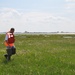 Army Corps awards contract for restoring Black Wall and rulers bar Marsh Islands in Jamaica Bay, New York