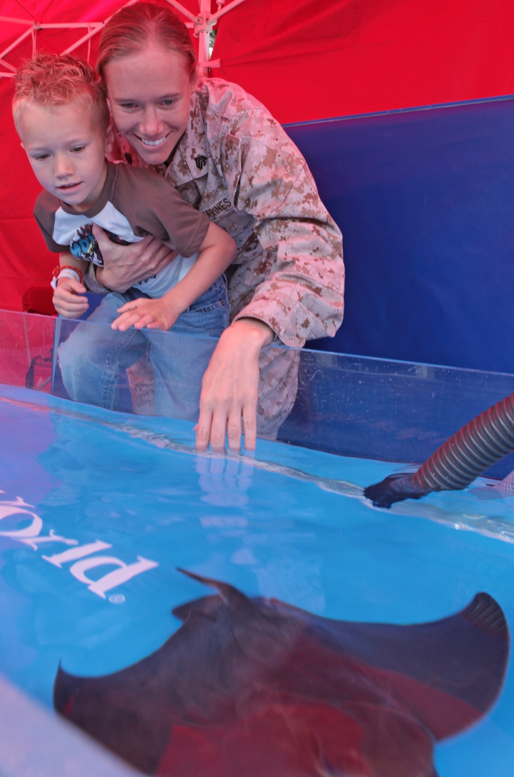 SeaWorld Animal Show makes splash during Month of the Military Child