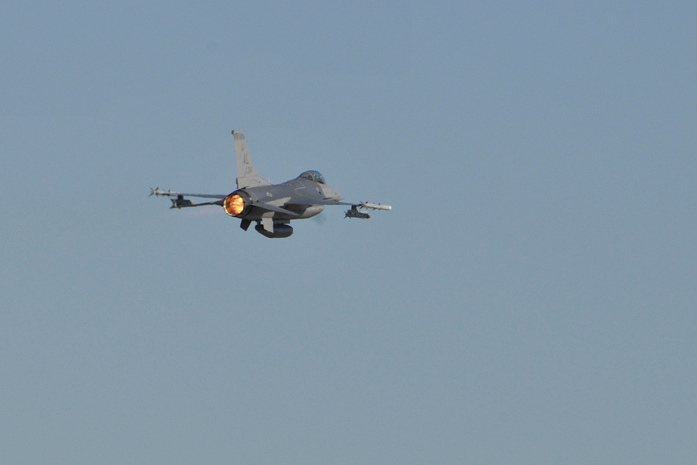 ANG F-16