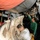 USS Abraham Lincoln sailors prep engine
