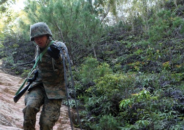 Jungle warfare training tests mettle of Marines, sailors
