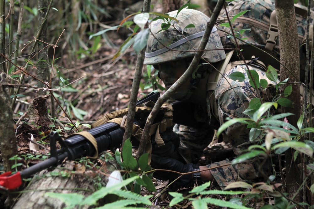 Jungle warfare training tests mettle of Marines, sailors