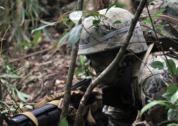 Jungle warfare training tests mettle of Marines, sailors