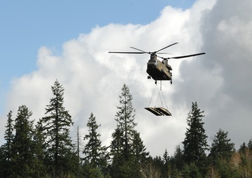 Stryker engineers first to emplace bridge by air since fielding