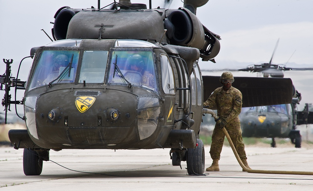 Air cavalry in flight