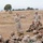 African Lion 12 - Peace Support Operations
