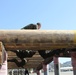 Company I recruits show determination on Confidence Course