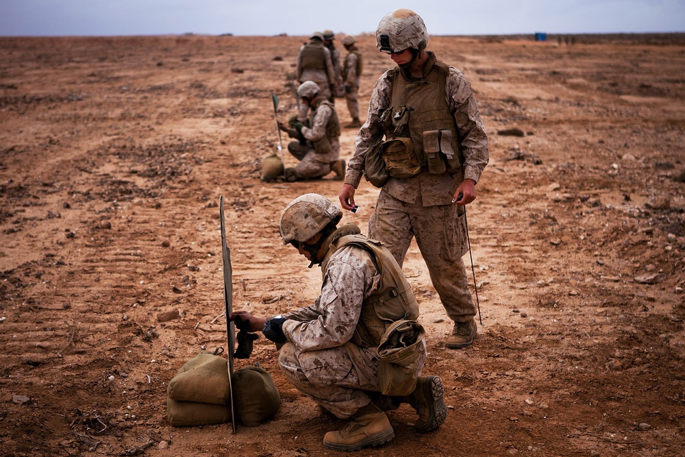 African Lion 2012 live-fire exercise