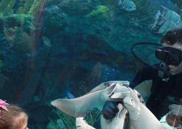 War of 1812: New Orleans