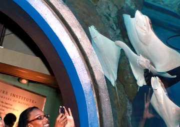 War of 1812: New Orleans