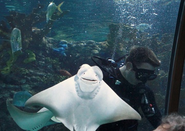 War of 1812: New Orleans