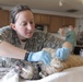 Photo essay: Operation Arctic Care veterinarians perform critical procedures