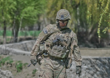 Operation Marble Lion