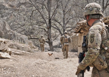 Operation Marble Lion