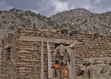 Operation Marble Lion