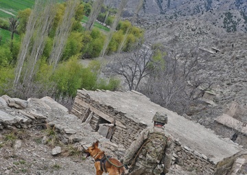 Operation Marble Lion