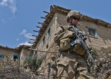 Operation Marble Lion